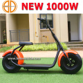 Bode 1000W Halei Harley Riesenrad Elektroroller zum Verkauf E-Scooter